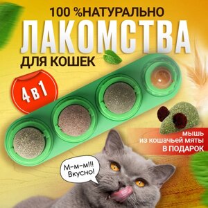 Леденец с кошачьей мятой, шарик лакомство для кошек 3 шт + конфета + мышка из кошачьей мяты . Цвет зеленый