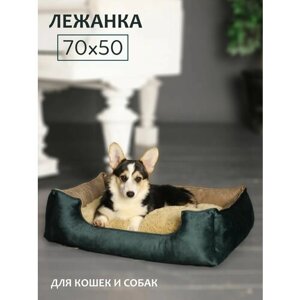 Лежак для собак малых и средних пород, кошки и кота со съёмным чехлом и подушкой 70х50 см