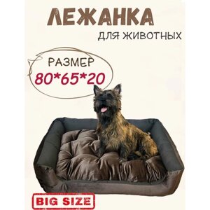 Лежанка для кошек и собак, квадратная, двухсторонняя, велюр, со съемной подушкой, 75х60, лежак для животных крупных и средних, малых пород