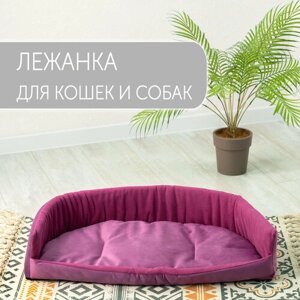 Лежанка для кошек и собак мелких и средних пород, двухсторонняя подушка, фиолетовый / ZooMoDa .