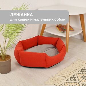 Лежанка для кошек и собак мелких пород, с двусторонней подушкой, красная / ZooMoDa