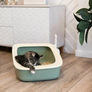 Лоток-туалет для кошек, для животных, "Не Один Дома" Клевер, зеленый, 61х44х25 см