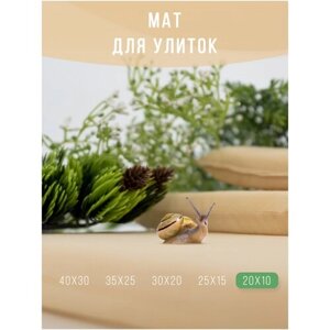 Мат, коврик, подстилка для улиток / Матрасик мягкий для декоративных улиток ахатин 20х10 см