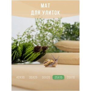 Мат, коврик, подстилка для улиток / Матрасик мягкий для декоративных улиток ахатин 25х15 см