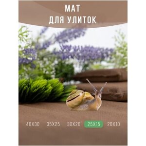 Мат, коврик, подстилка для улиток / Матрасик мягкий для декоративных улиток ахатин 25х15 см