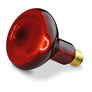 MCLANZOO Инфракрасная галогенная лампа "Infrared intensive", 70Вт, R80