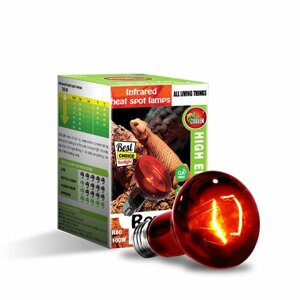 MCLANZOO Инфракрасная лампа "Infrared Heat", 100Вт, R80