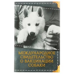 Международное свид-во "О вакцинации собаки", 36 страниц, 10,3 х 15,1 см