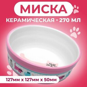 Миска керамическая "Кошачья жизнь", 300 мл, 12,7 х 5 см, розовая