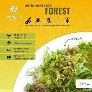 Мох живой MANGRA exotic Forest зеленый из Сибирской тайги для террариума, 250 мл, для змей, пауков, рептилий, насекомых, тараканов