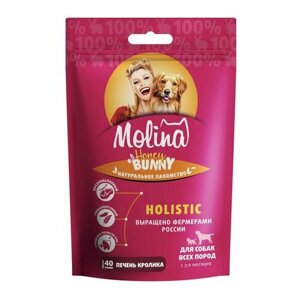 MOLINA: Натуральное сушёное лакомство Holistic, для собак всех пород, Печень кролика, 40 гр.