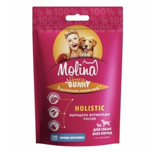 MOLINA: Натуральное сушёное лакомство Holistic, для собак всех пород, Почки кролика, 40 гр.