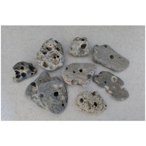 Морской камень с ямками 3шт. 4-8см. для аквариума
