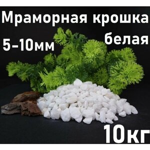 Мраморная крошка белая 10кг, фракция 5-10 мм, щебень декоративный для аквариума, флорариума, клумб и сада, огорода и ландшафтного дизайна, галька