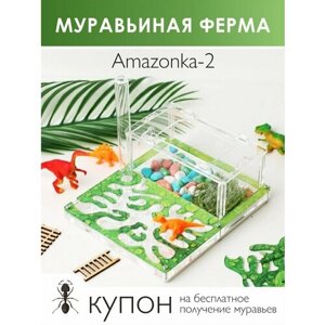 Муравьиная ферма Amazonka2 19х16х8 см Муравьи в подарок!