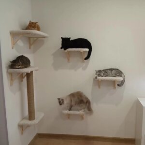 Настенный игровой комплекс для кошек Моя Котя "Moнблaн" цвет белый