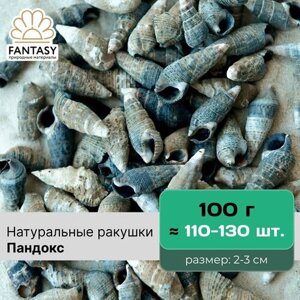 Натуральные ракушки FANTASY Пандокс, природные материалы для рукоделия, размер - 2-3 см, отборные, набор весом 100 г (110-130 шт. морская раковина