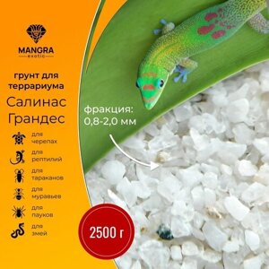 Натуральный грунт MANGRA exotic "Салинас Грандес" естественный белый, 2,5 кг (фракция 0,8-2 мм), для террариума, для черепах, тараканов, пауков и змей