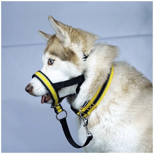 Недоуздок для собак White Wolf (корректор поведения, халти) Спорт Желтый