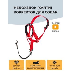 Недоуздок (Халти)2 корректор для собак CHOKERZ. Обхват морды 16-24 см, шеи - 36-43 см