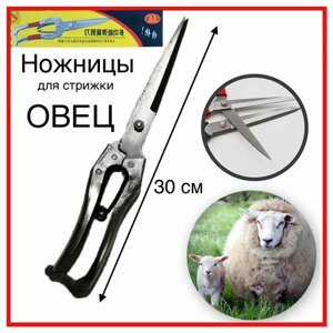 Ножницы для стрижки овец и других домашних животных 300мм (подходят для стрижки собак, ягнят, коз, баранов, мрс, мелкого рогатого скота)