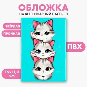 Обложка на ветеринарный паспорт "Котята"