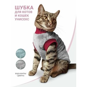 Одежда для кошек и котов /Толстовка для кошки Адель / сфинкс