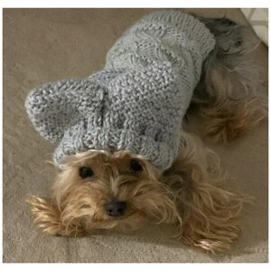 Одежда для животных/ вязаный комплект шапочка жилетка для собак/ Модный дом "HAPPY ANIMALS "