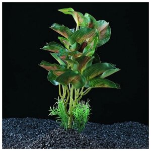 Пижон Аква Растение аквариумное "в горшочке", 31 х 23 х 19 см