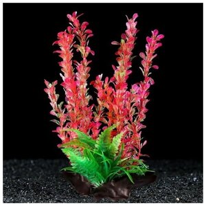 Пижон Аква Растение искусственное аквариумное на платформе в виде коряги, 30 см, розово-зелёное