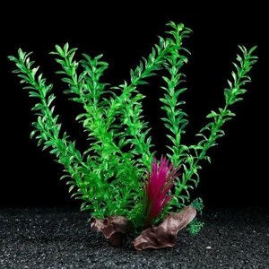 Пижон Аква Растение искусственное аквариумное на платформе в виде коряги, 30 см, зелёное