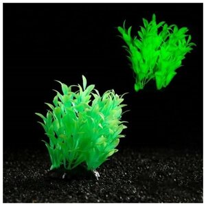 Пижон Аква Растение искусственное аквариумное Пижон Аква, светящееся, зелёное, 10 см