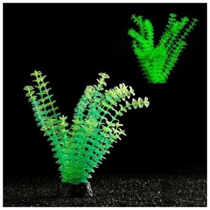 Пижон Аква Растение искусственное аквариумное Пижон Аква, светящееся, зелёное, 18 см