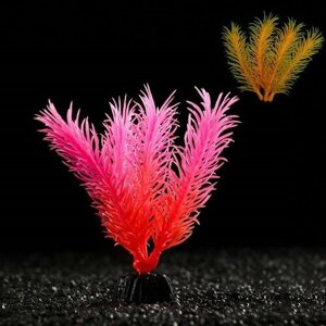 Пижон Аква Растение искусственное аквариумное, светящееся, 10 см, красное