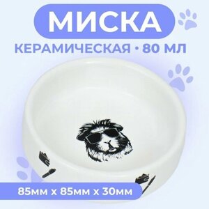 Пижон Миска керамическая для грызунов "Чёрно-белый" 80 мл 8,5 х 3 см