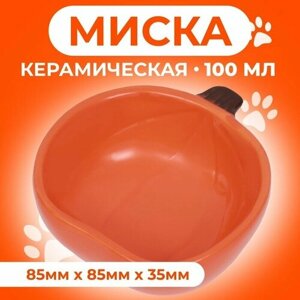 Пижон Миска керамическая для грызунов "Тыква" 10 х 10 х 4,3 см