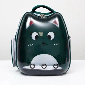 Пижон Рюкзак для переноски животных "Котик", прозрачный, 34 х 25 х 40 см, зелёный