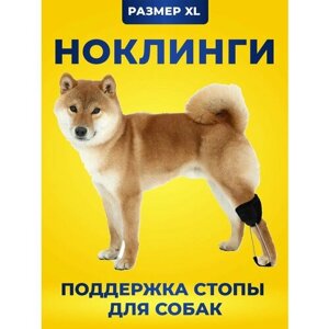 Поддержка стопы, ноклинги на задние лапы для собак. От слабости в лапах, перелома, артрита. Размер XL