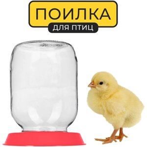 Поилка для птиц Yoma Home, вакуумная, под стеклянную банку, для животных, для цыплят, пластиковая, красная