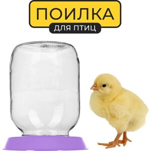 Поилка для животных Yoma Home, вакуумная, под стеклянную банку, пластиковая, фиолетовая