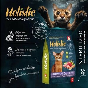 Полнорационный сухой корм для взрослых кошек Зоогурман, Holistic Ягненок с рисом и брусникой 1,5 кг