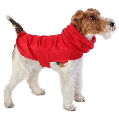 Попона для собак Монморанси "Попона с горлом", цвет: красный, размер L2