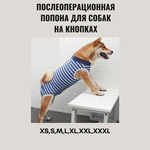 Попона для собак послеоперационная BodyCare р-р S цвет синий