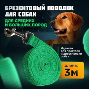 Поводок для средних, больших собак/ брезентовый с карабином/длина 3 м х ширина 2,5 см/Амуниция для животных