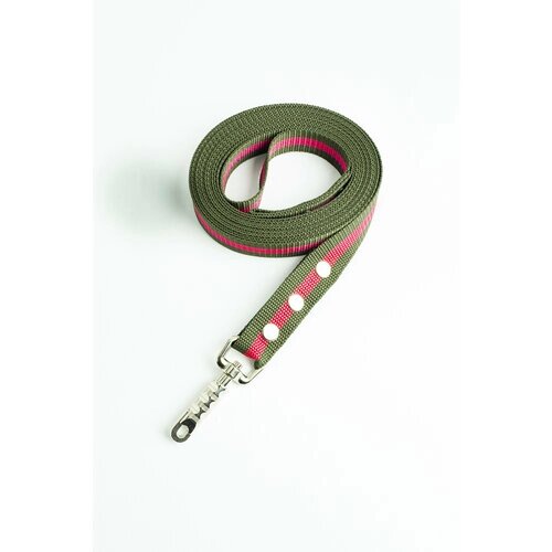 Поводок Хвостатыч для собак с цилиндрическим карабином нейлон 1.5 м х 30 мм (зелено-красный)