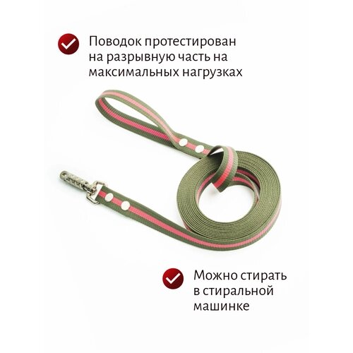 Поводок Хвостатыч для собак с цилиндрическим карабином нейлон 10 м х 25 мм (Зелено-красный)
