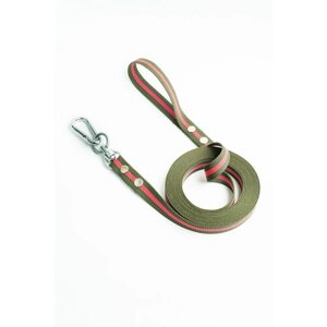 Поводок Хвостатыч для собак с вертлюгом и альпинистским карабином нейлон 1.5 м х 25 мм (Зелено-красный)