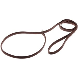 Поводок удавка для собак, с кольцом (лента-чулок) 10мм * 120см, коричневый