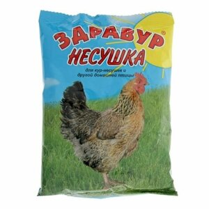 Премикс Здравур "Несушка" для кур и домашней птицы, минеральная добавка, 250 гр, комплект из 13 шт)