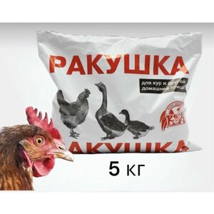 Ракушка для кур 5 кг